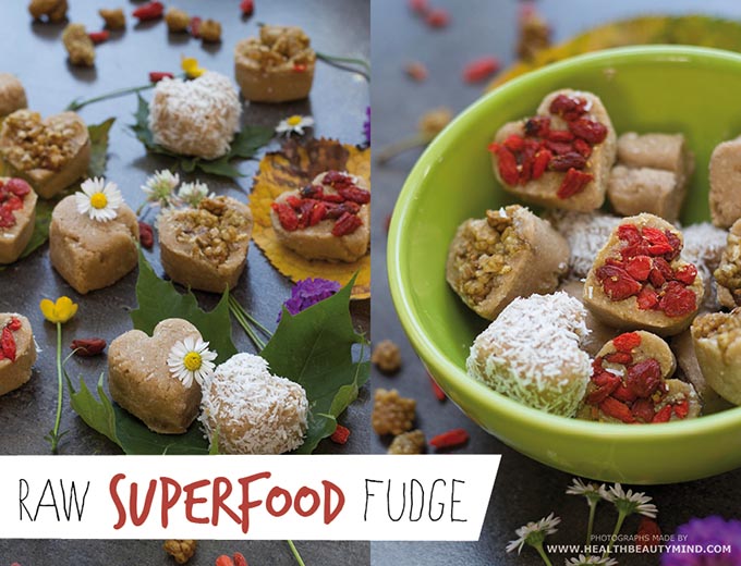 rawsuperfoodfudge