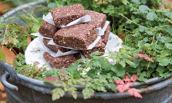 no-bake brownies_voorbeeldpost_foodie